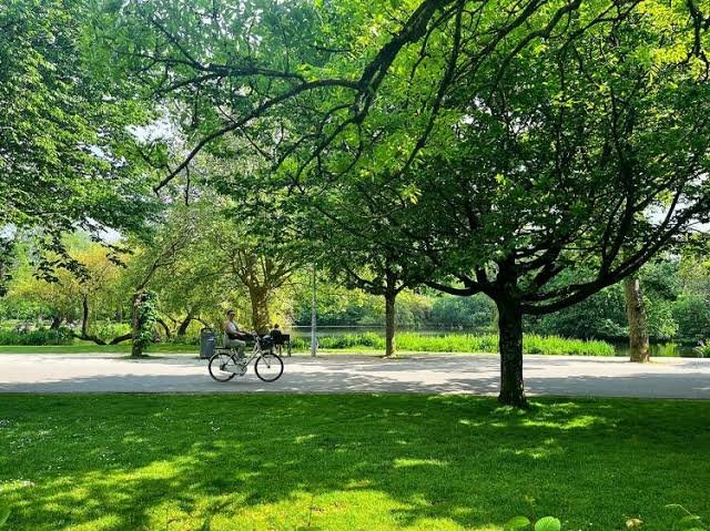 Central Park